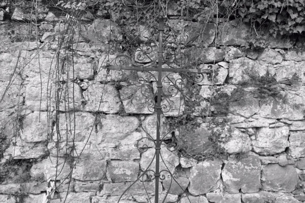 20251117_Cimetière bourgeois-5595