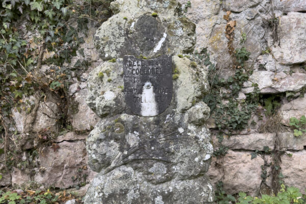 20251117_Cimetière bourgeois-5598