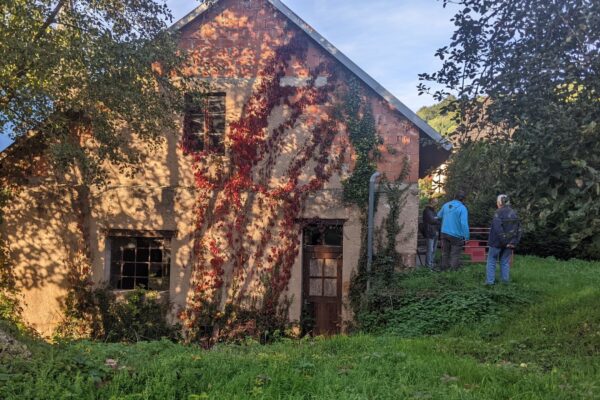 3e4a0a0d-5a2b-4c42-8b7a-0d0df2994ffe 3e4a0a0d-5a2b-4c42-8b7a-0d0df2994ffe