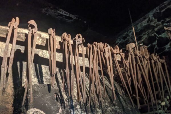 77b6631a-a9a5-441d-935a-e1986855dd5b 77b6631a-a9a5-441d-935a-e1986855dd5b