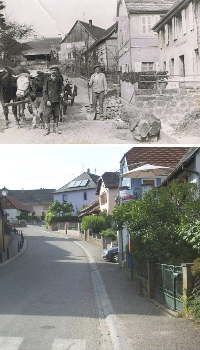 20260128_Montage Philippe Herrbach-7581